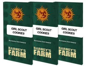 Girl scout cookies (1) 100% barney's farm seeds