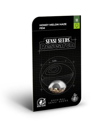 Honey melon haze feminizada (1) sensi seeds