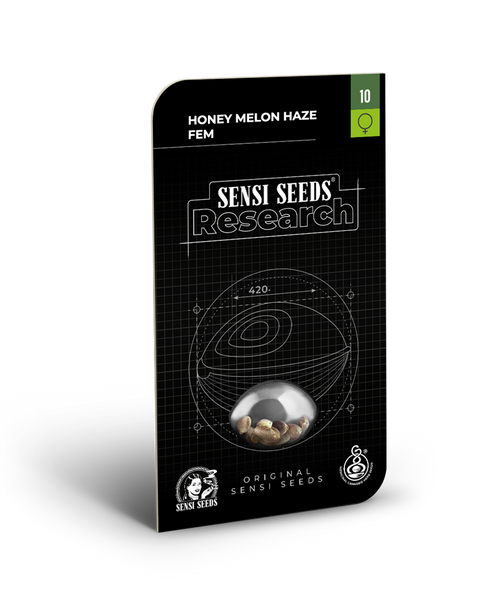 Honey melon haze feminizada (1) sensi seeds