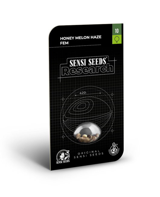 Honey melon haze feminizada (1) sensi seeds