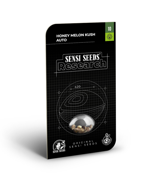 Honey melon kush auto sensi seeds