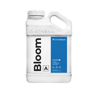 Bloom a athena