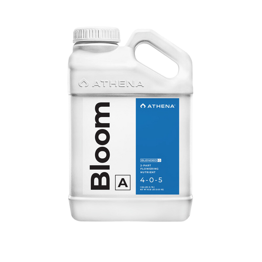 Bloom a athena