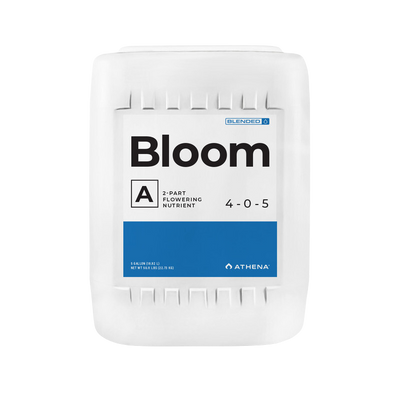 Bloom a athena