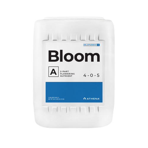 Bloom a athena