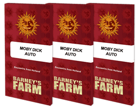 Moby dick auto auto barney's farm seeds