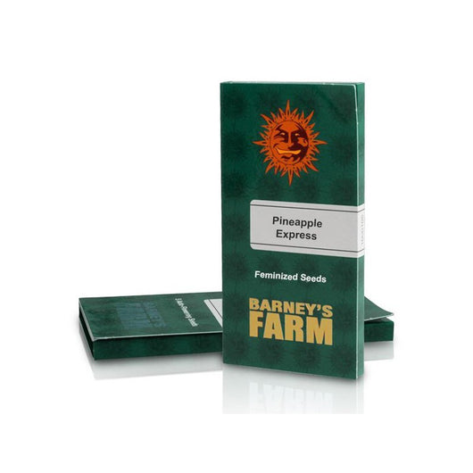 Pineapple express 100% barney's seeds