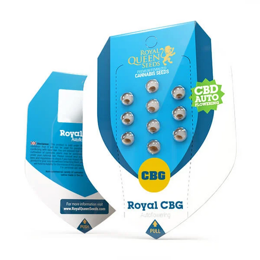 Royal cbg auto royal queen