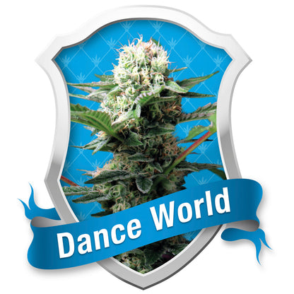 Dance World