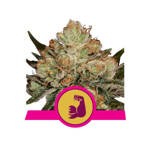 HulkBerry