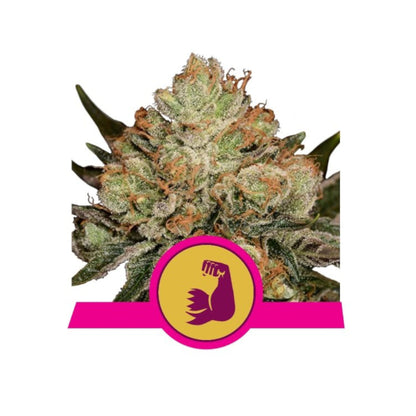 HulkBerry