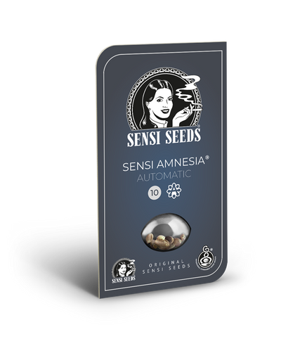 Sensi amnesia auto Sensi Seeds