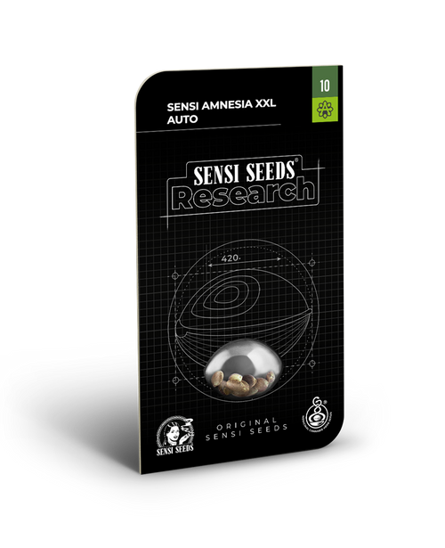 Sensi amnesia xxl auto sensi seeds
