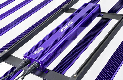 Sistema led zeus 1000 w pro evo 3.1 lumatek