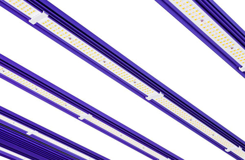 Sistema led zeus 1000 w pro evo 3.1 lumatek
