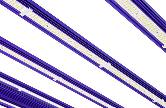 Sistema led zeus 1000 w pro evo 3.1 lumatek