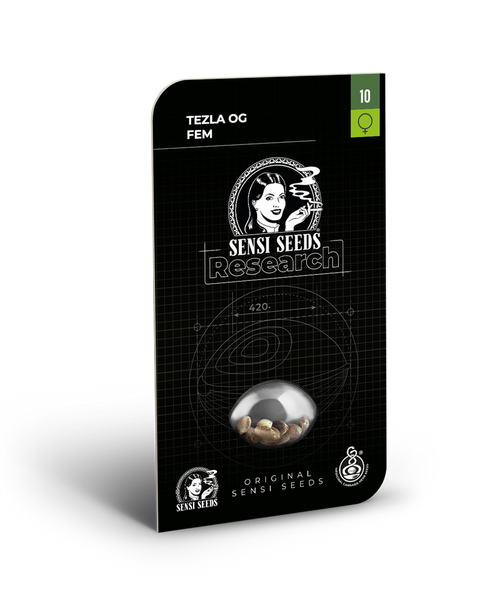 Tezla og 100% sensi seeds