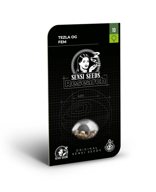 Tezla og 100% sensi seeds