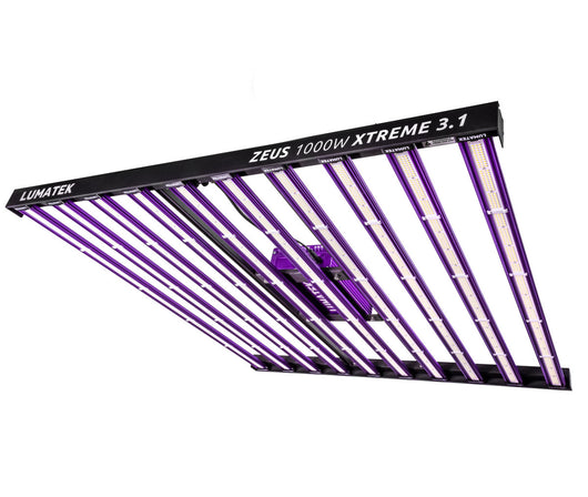 Sistema led zeus 1000 w extreme 3.1 lumatek