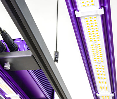 Sistema led zeus 465 w pro 3.1 lumatek